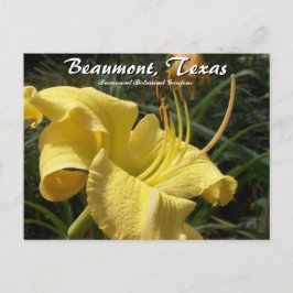 Beaumont, Texas Botanical Garden Day Lily Travel Vykort