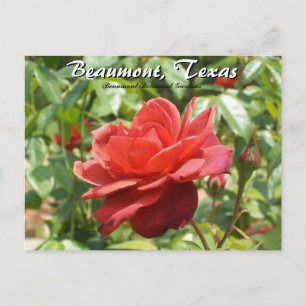 Beaumont, Texas Botanical Garden Ro Travel Vykort