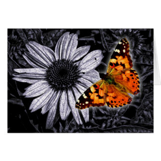 Beautifly Hälsningskort