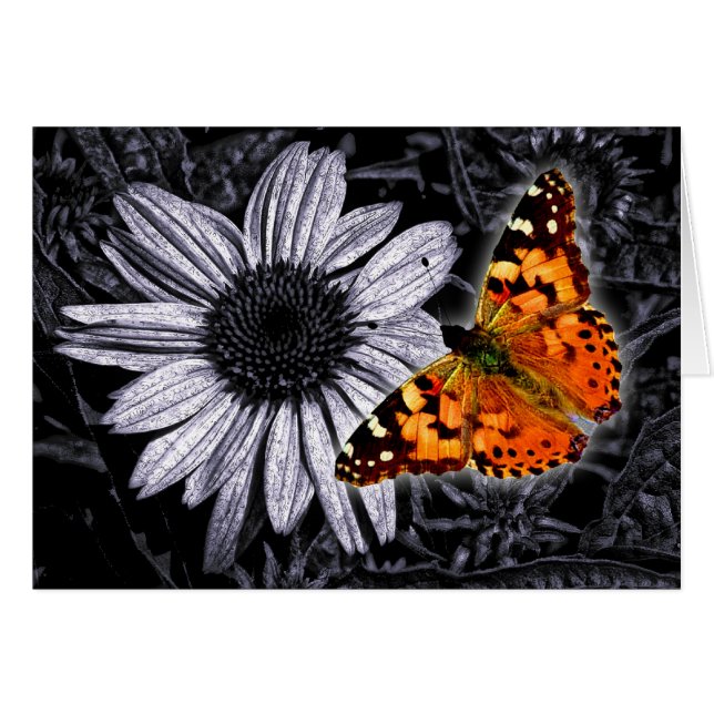 Beautifly Hälsningskort (Framsidan Horizontal)