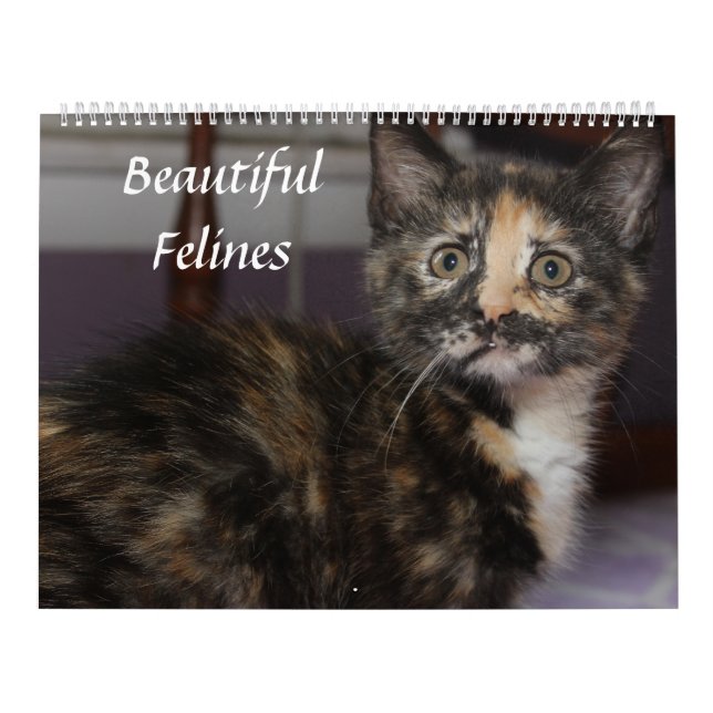 BEAUTIFUELLA KATTDJUR KALENDER (Omslag)