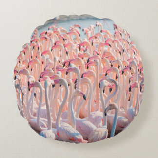 Beautiful and Wild - Flamingosflock,greater,pink,d Rund Kudde