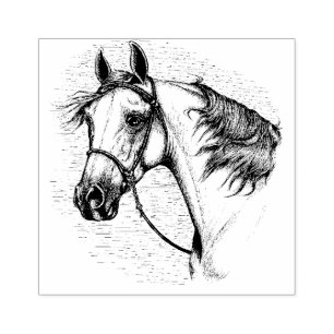 BEAUTIFUL ARABIAN HORSE, EQUINE HEAD PORTRÄTT STÄMPEL