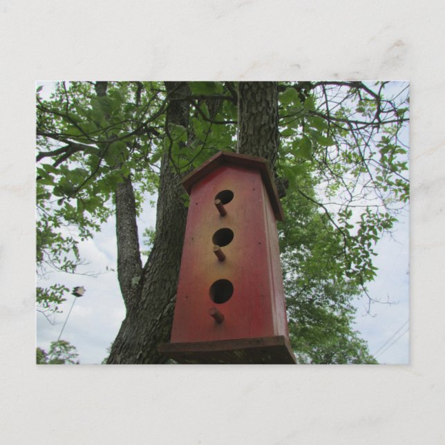 beautiful bird house hanging from the tree vykort (Framsida)