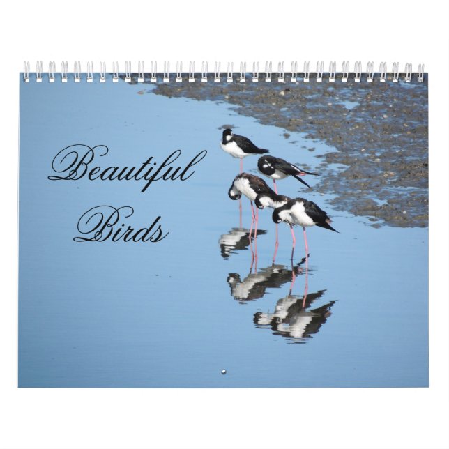 Beautiful Birds Calendar Kalender (Omslag)