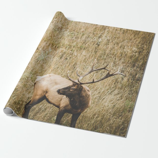 BEAUTIFUL ELK HJORT PRESENTPAPPER (Utrullad)