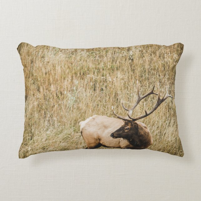 BEAUTIFUL ELK HJORT PRYDNADSKUDDE (Framsidan)