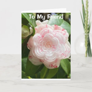 ’BEAUTIFUL FLOWER FOR A BEAUTIFUL ’FRIEND’ KORT