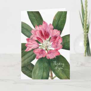 BEAUTIFUL FLOWERS SYMPATHY KORT