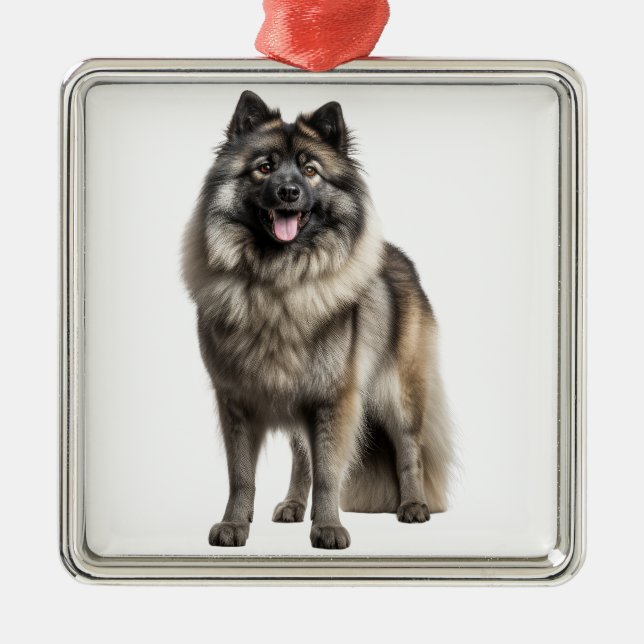 BEAUTIFUL FLUFFY KEESHOND PUPPY HUND JULGRANSPRYDNAD METALL (Framsidan)