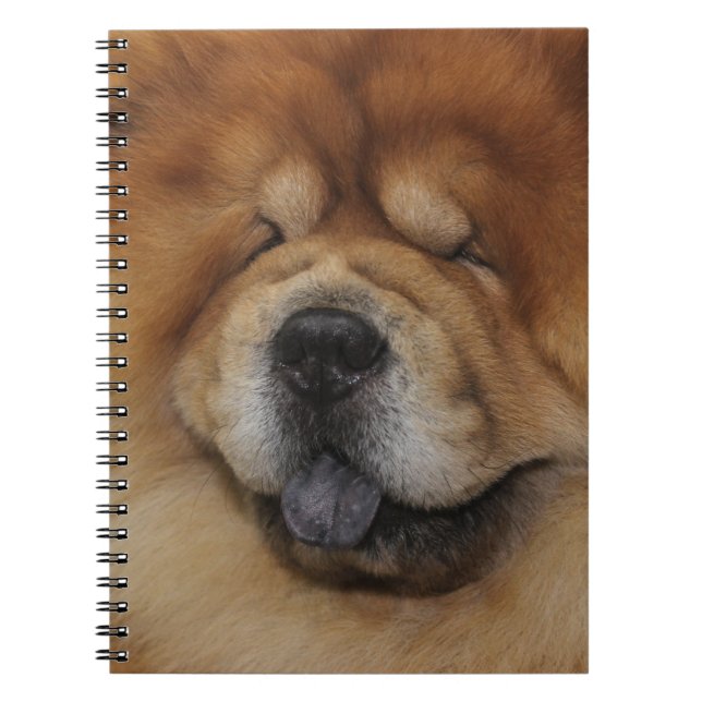 BEAUTIFUL FLUFFY RED CHOW CHOW HUND ANTECKNINGSBOK (Framsidan)