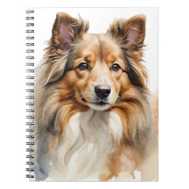 BEAUTIFUL FLUFFY SHETLAND SHEEPDOG HUND ANTECKNINGSBOK