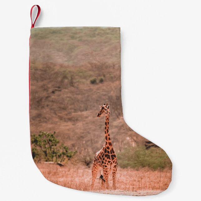 BEAUTIFUL GIRAFFE LITEN JULSTRUMPA (Framsidan)