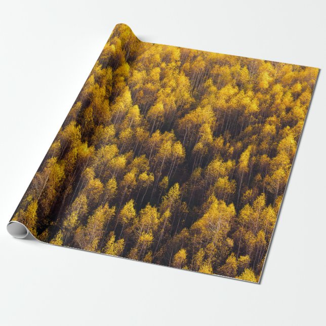 BEAUTIFUL GRÄS TRÄD SKOGAR PRESENTPAPPER (Utrullad)