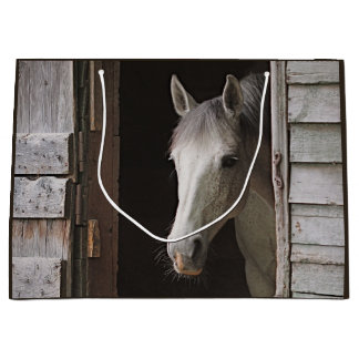 Beautiful Gray Mare Horse