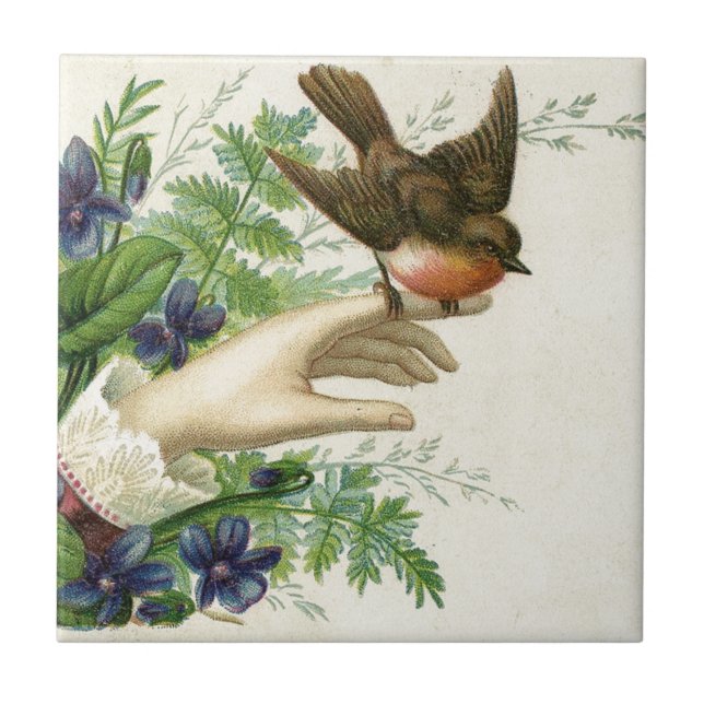 Beautiful hand with a bird and flowers kakelplatta (Framsidan)