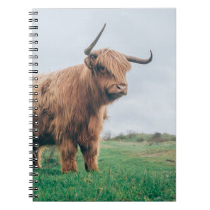 BEAUTIFUL HIGHLAND CATTLE ANTECKNINGSBOK