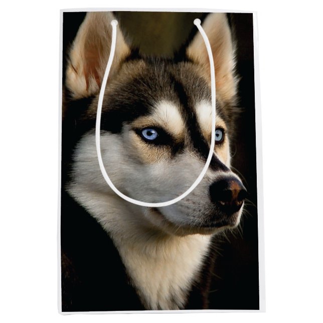 Beautiful Husky Throw Pillow (Framsidan)