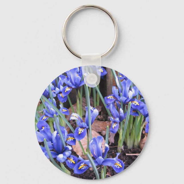 BEAUTIFUL IRIS NYCKELRING (Framsida)