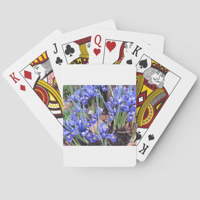 BEAUTIFUL IRIS SPEL KORT (Baksidan)