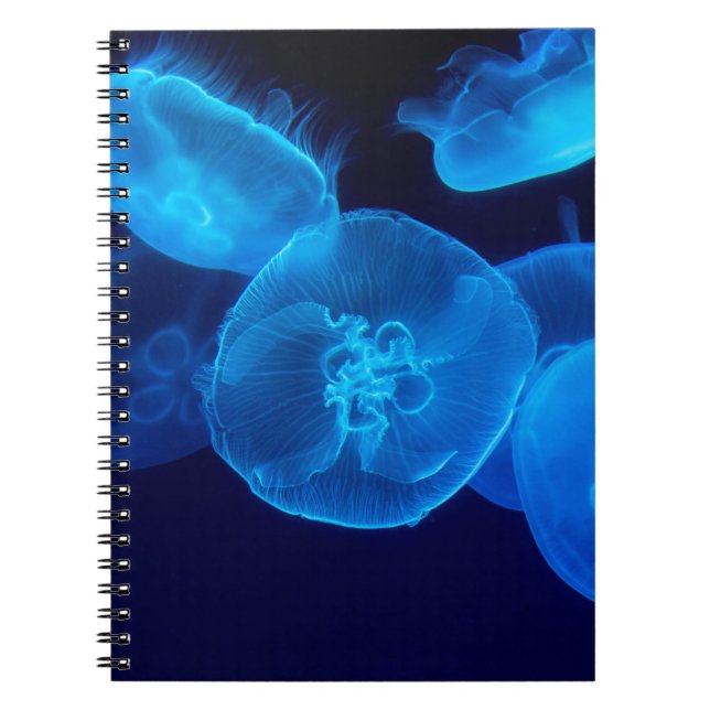 BEAUTIFUL JELLYFISH ANTECKNINGSBOK (Framsidan)