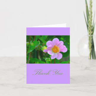 BEAUTIFUL LAVENDER-ROSA ANEMONE KORT