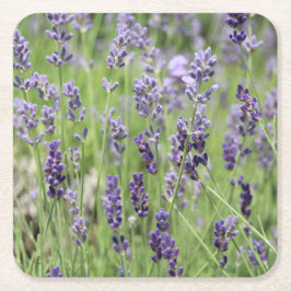 Beautiful Lavender Underlägg Papper Kvadrat