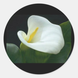 BEAUTIFUL LILY BREV/GIFT ROUND STICKER RUNT KLISTERMÄRKE
