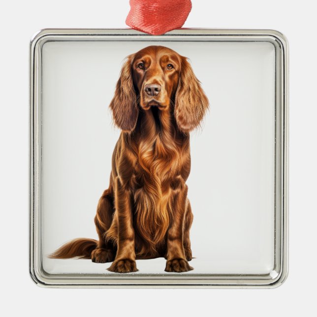 BEAUTIFUL RED IRISH SETTER HUND JULGRANSPRYDNAD METALL (Framsidan)