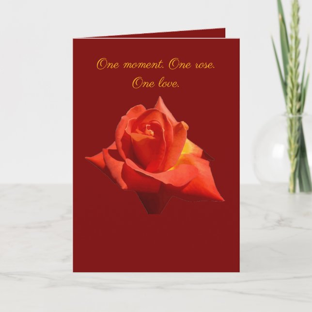 Beautiful Red Rose Isolated Photograph Vector Kort (Framsida)