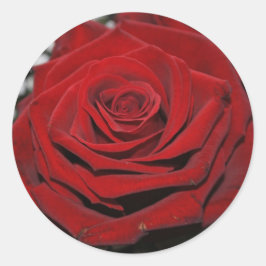 Beautiful Red Rose Runt Klistermärke