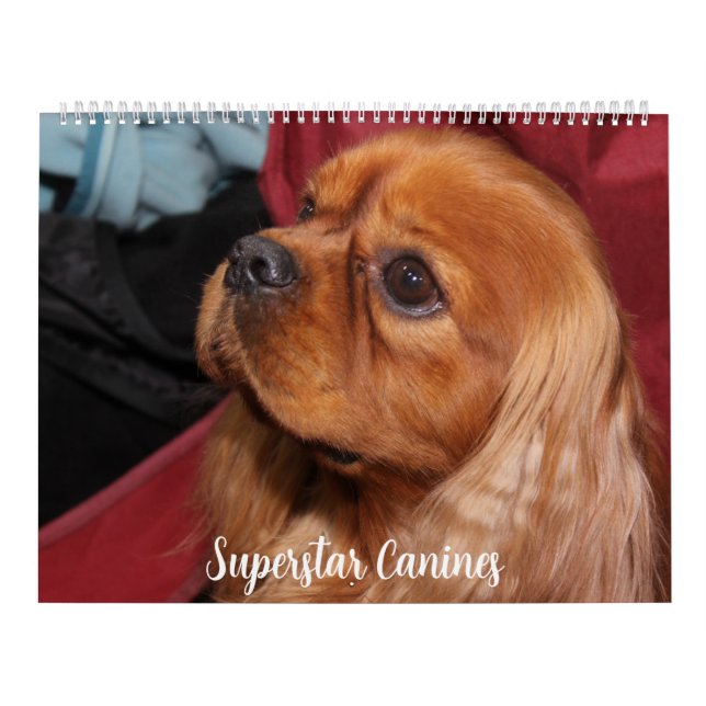 BEAUTIFUL SUPERSTAR CANINE DOGS KALENDER (Omslag)