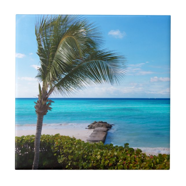 Beautiful Tropical Beach Breezy Palm Tree Kakelplatta (Framsidan)