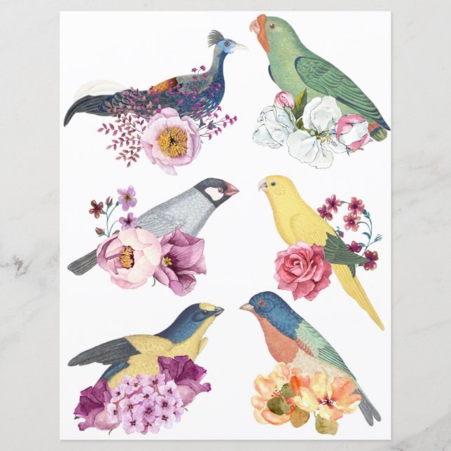 Beautiful vintage birds with flowers scrapbooking (Framsida)