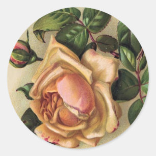 *Beautiful vintage Roses* Runt Klistermärke