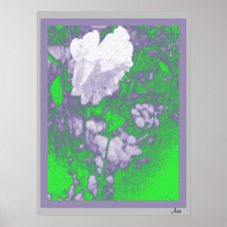 BEAUTIFUL VIT ROS ART PRINT 18 X 24 POSTER