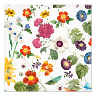 Beautiful Watercolor Botanical Fototryck