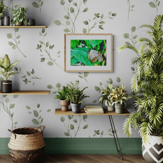 Beautiful White and Brown Butterfly Fototryck (Skapare uppladdad)