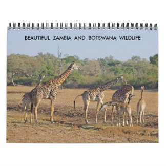 BEAUTIFUL ZAMBIA OCH BOTSWANA WILDLIFE CALENDAR KALENDER