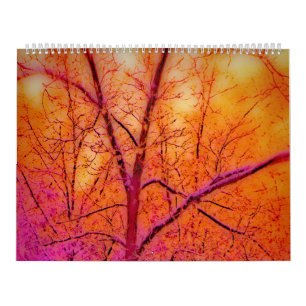 BEAUTIFULLA INTRYCK KALENDER