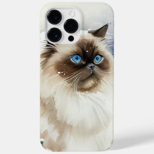 BEAUTIFULLT VATTERFÄRGLÄNGD HAIR HIMALAYAN CAT