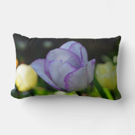 Beauty-dils Lumbarkudde