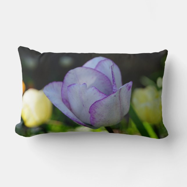 Beauty-dils Lumbarkudde (Framsida)