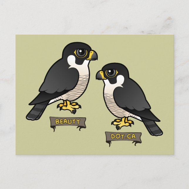 Beauty & Dot.Ca Vykort (Framsida)