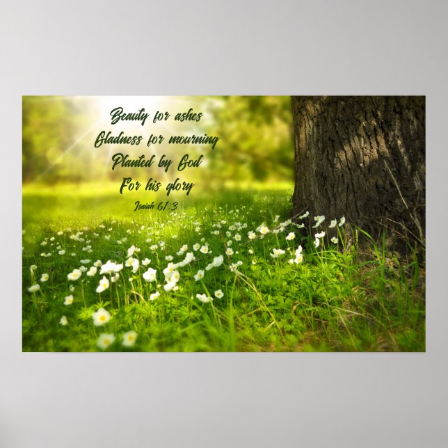 Beauty for Ashes Poster (Framsidan)