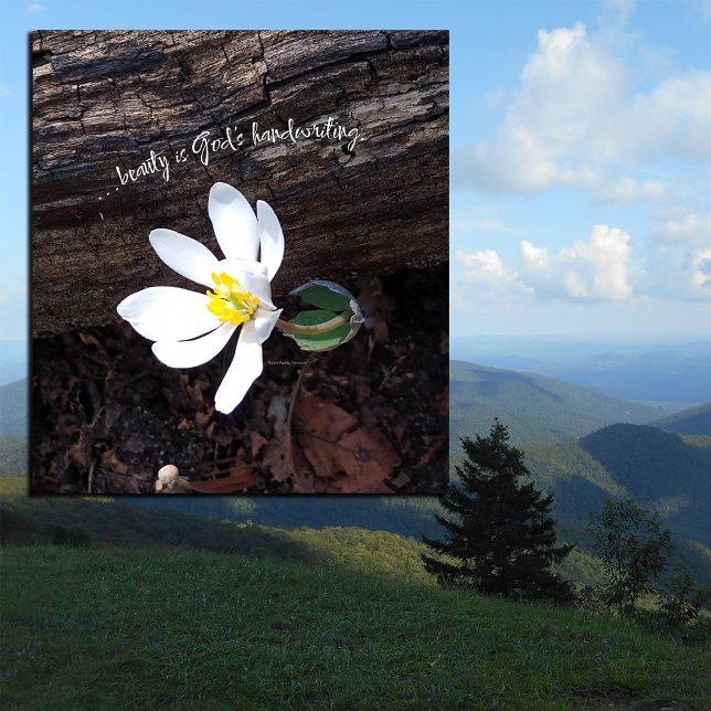 BEAUTY GOD'S HANDSKRIFTING EMERSON EARTHY CANVASTRYCK (Skapare uppladdad)