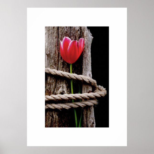 Beauty Held Hostage Poster (Framsidan)