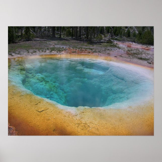 Beauty Hett Vår Poster (Framsidan)