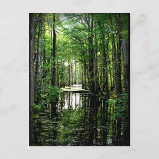 Beauty i Marsh Vykort