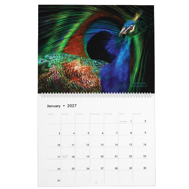 Beauty in ature - Bird Collection Calendar 2012 Kalender (Jan 2027)